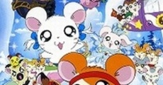 Filme completo Gekijô ban Tottoko Hamutaro: Ôrora no kiseki - Ribon chan kiki ippatsu!