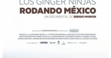 Película Ginger Ninjas. Rodando México