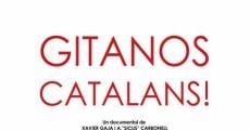 Gitanos catalans!