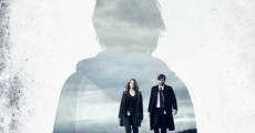 Gracepoint (2014) stream