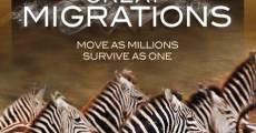 National Geographic: Great Migrations film complet