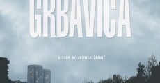 Película Grbavica