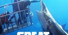 Great White Shark: Beyond the Cage of Fear