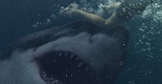 Great White film complet