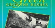 Green Grow the Rushes