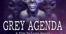 Grey Agenda streaming