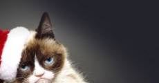 Grumpy Cat's miesestes Weihnachtsfest ever