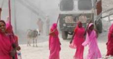 Película Gulabi Gang