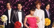 Hana yori dango: Fainaru streaming