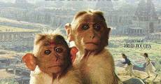 Hanuman. Le dieu singe film complet