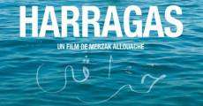 Película Harragas