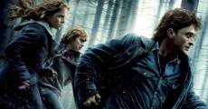 Película Harry Potter y las Reliquias de la Muerte - Parte I