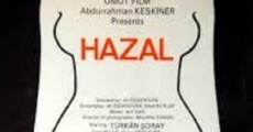Hazal streaming