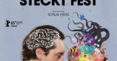 Hedi Schneider steckt fest (2015) stream