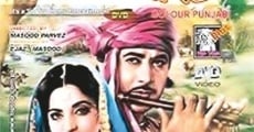 Película Heer Ranjha