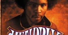 Película Hendrix