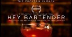 Hey Bartender (2013) stream