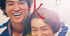 Hibana (2017) stream