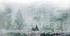 Sweetgrass (2009) stream