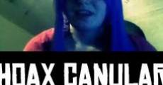 Hoax_canular (Hoax canular) (2013)