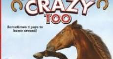 Horse Crazy 2: The Legend of Grizzly Mountain (2010)