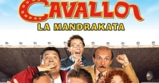 Febbre da cavallo - La mandrakata