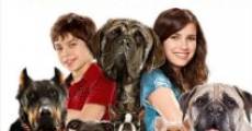 Filme completo Um Hotel Bom pra Cachorro