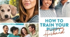 Película How to Train Your Husband