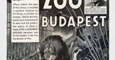 Zoo in Budapest (1933) stream