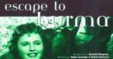 Escape to Burma (1955) stream