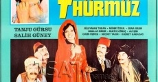 Película Hürmüz with Seven Husbands