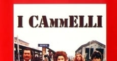 I cammelli (1988) stream