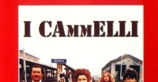 I cammelli