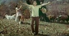 Man Mahni Qosuram (1978) stream