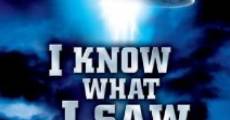 I Know What I Saw (2009) stream