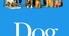 Dog Days (2018) stream