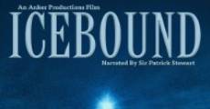 Filme completo Icebound