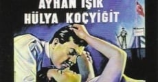 Kadin isterse (1965)