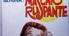 Il maschio ruspante (1973) stream