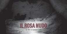 Filme completo Il rosa nudo