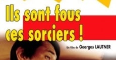 Ils sont fous ces sorciers (1978) stream