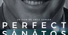 Perfect sãnãtos (2017) stream