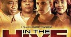 In the Hive (2012) stream