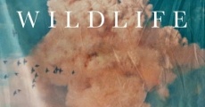 Wildlife (2018) stream