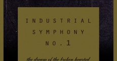 Industrial Symphony No. 1: The Dream of the Broken Hearted