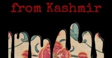 Película Information for/from Outsiders: Chronicles from Kashmir