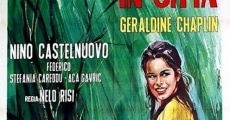 Andremo in città (1966) stream