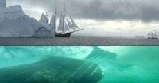 Ver película El gigante del Ártico
