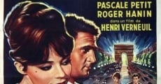 L'affaire d'une nuit (1960) stream