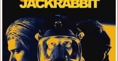 Película Jackrabbit